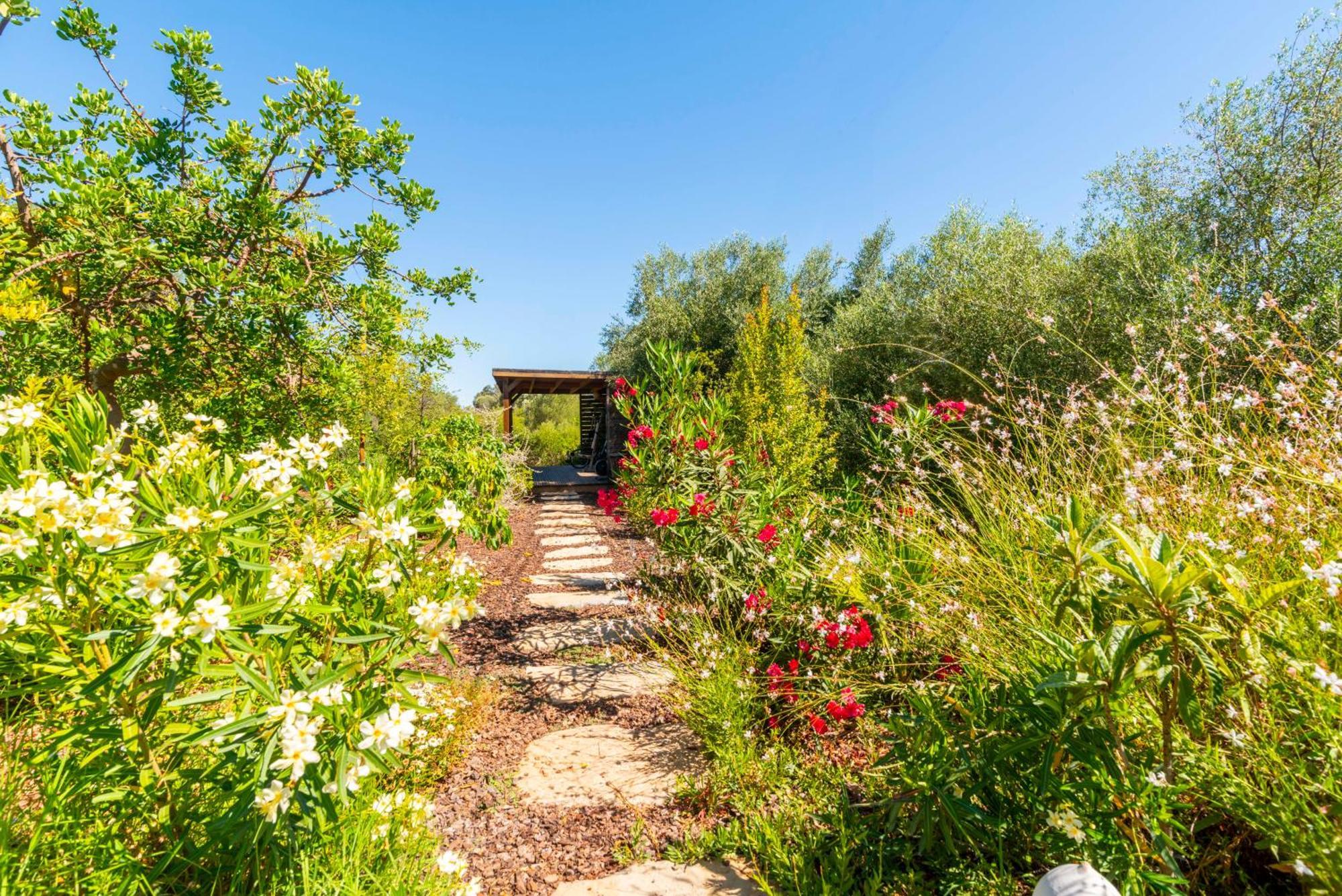 Laranjal Farm House Moncarapacho Εξωτερικό φωτογραφία