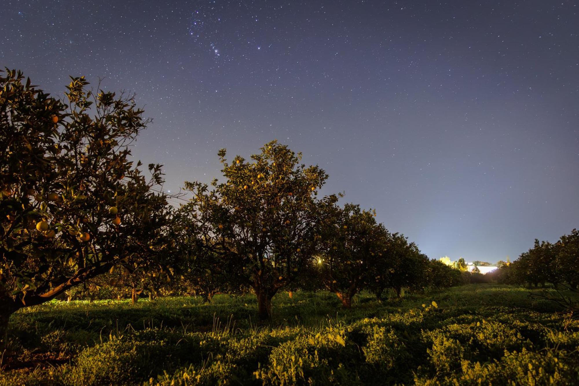 Laranjal Farm House Moncarapacho Εξωτερικό φωτογραφία